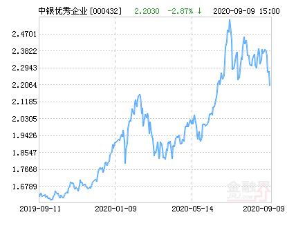 最新净值解析，概念、意义及其重要性探究